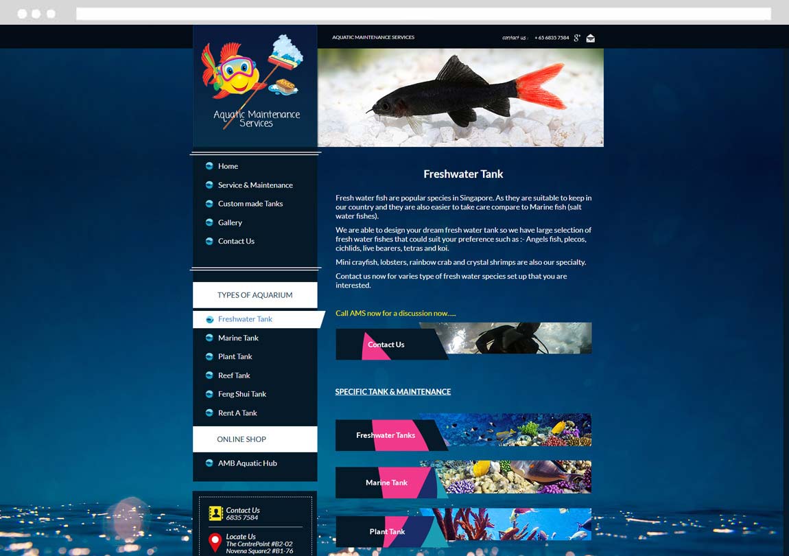Singapore web design company, website design, website development, web design agency Singapore
