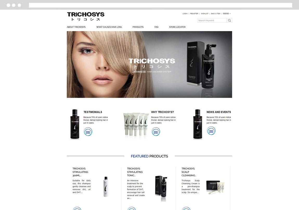 E-commerce Shopping Website Development, Singapore Ecommerce Development Company, Design Develop Website Online Store